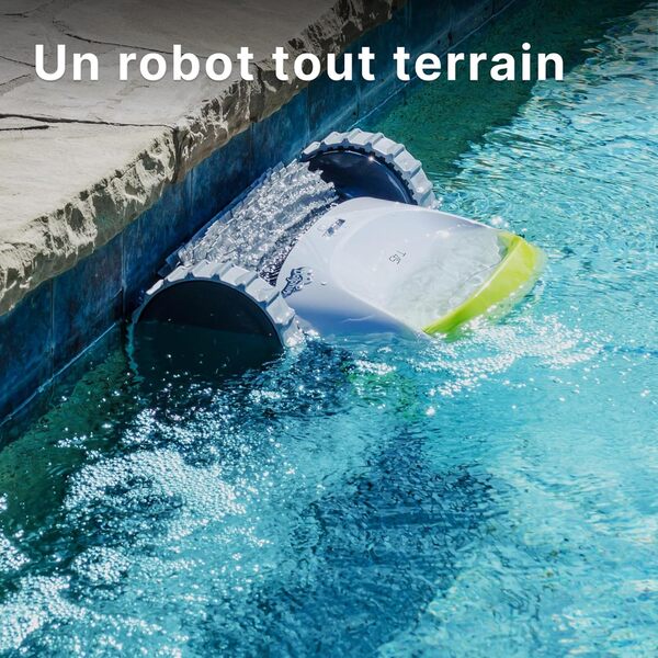 Dolphin T45 Robot Nettoyeur de Piscine électrique - Nettoyage des parois, Piscine enterrée Jusqu’à 12 m