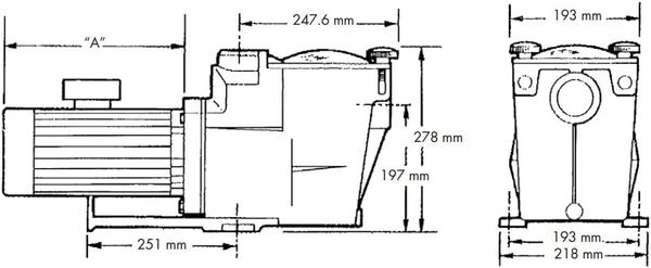 Pompe de Filtration Piscine - Super Pump 1CV Monophasé Raccordement en 2
