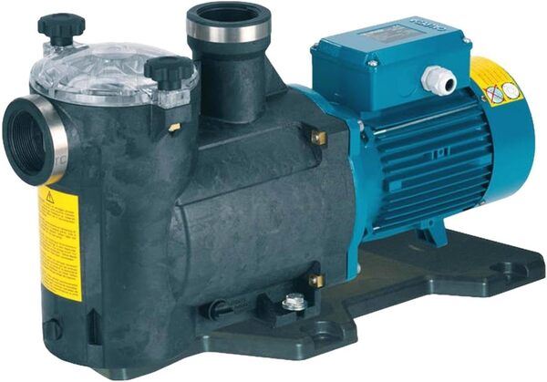Pompe piscine avec filtre MPC21m/A 0,55kW 0,75Hp 230V 50Hz Calpeda MPCM